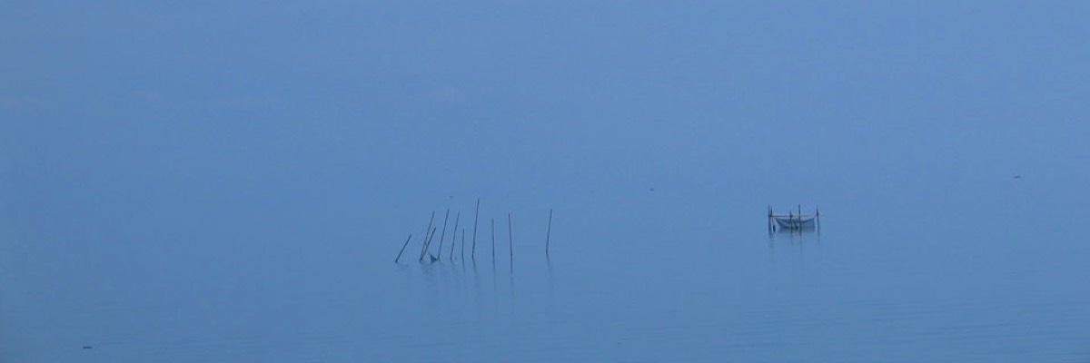 Stacks Image 70