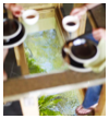 collage image title